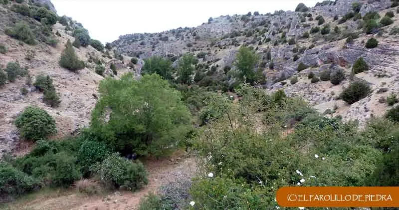 Barranco de las Caracolitas entre Hoz de Arriba y Carrascosa de Arriba (Soria), posible localización de Alhándega