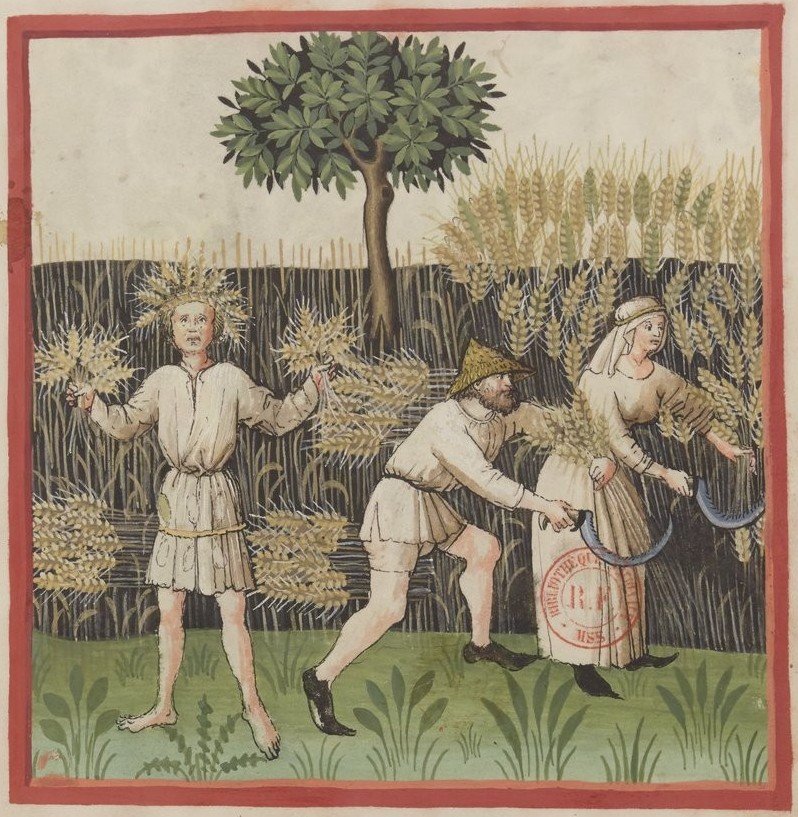 Tacuinum sanitatis de Ibn Butlan (Renania, c. 1425). Campesinos recogiendo el trigo sembrado