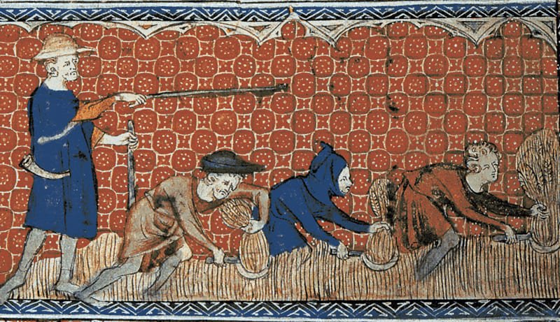 Salterio de la Reina María (c. 1310). Señor o capataz dirigiendo a los campesinos en la cosecha