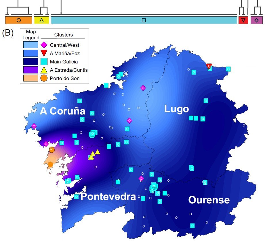 Clusters genéticos de Galicia, por Jacobo Pardo-Seco et al.